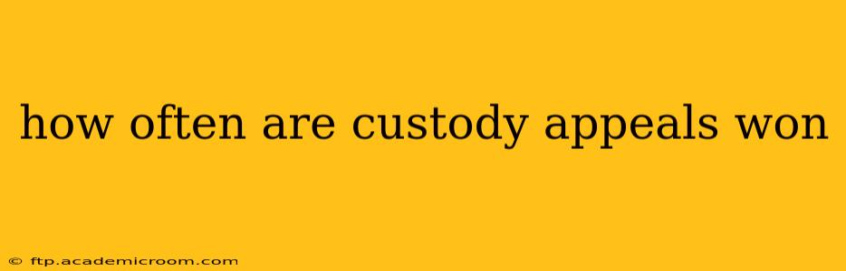 how often are custody appeals won
