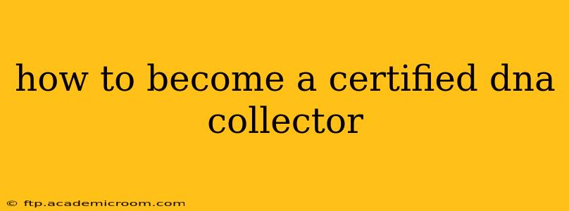 how to become a certified dna collector