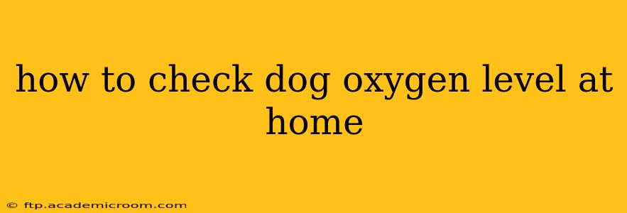 how to check dog oxygen level at home