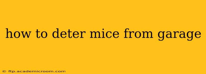 how to deter mice from garage