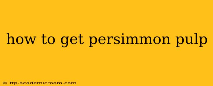 how to get persimmon pulp