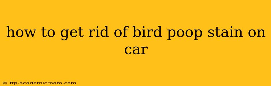 how to get rid of bird poop stain on car