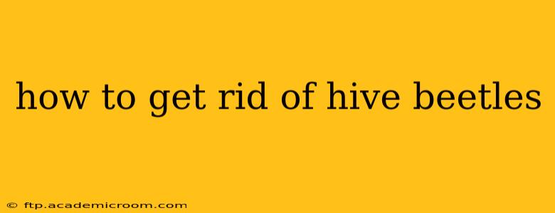 how to get rid of hive beetles