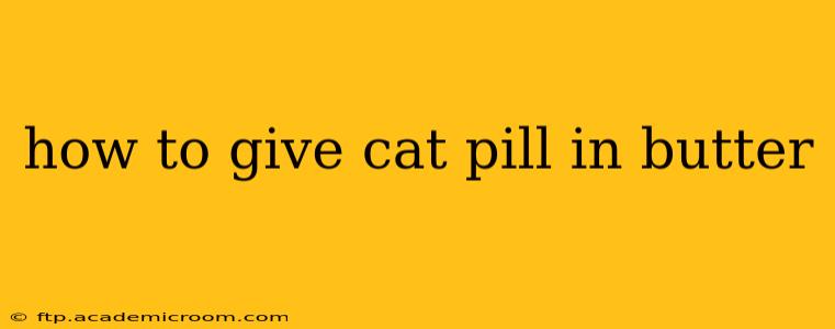 how to give cat pill in butter