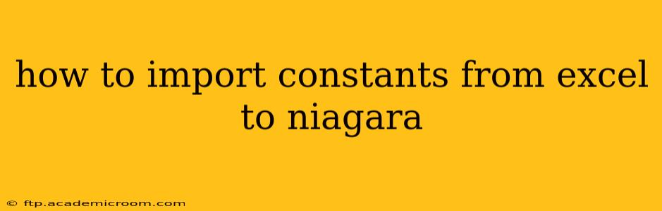 how to import constants from excel to niagara