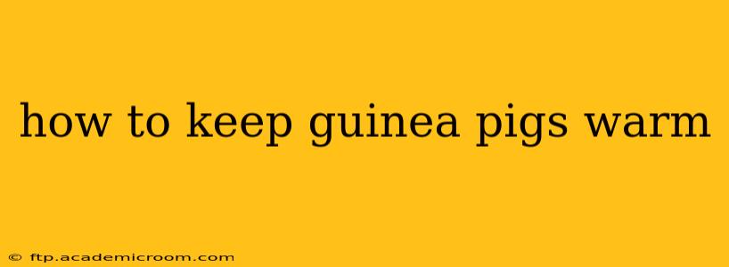 how to keep guinea pigs warm