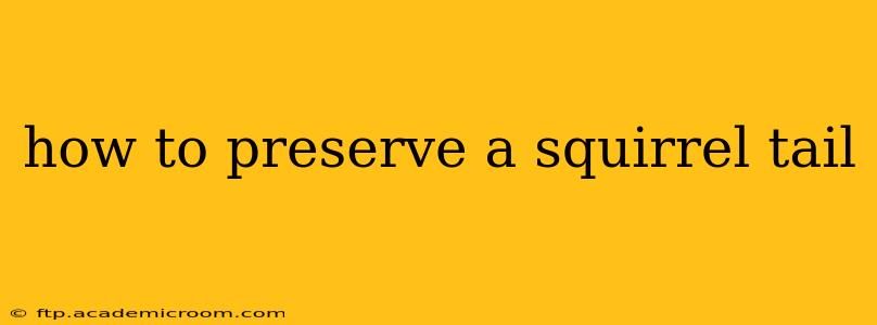how to preserve a squirrel tail