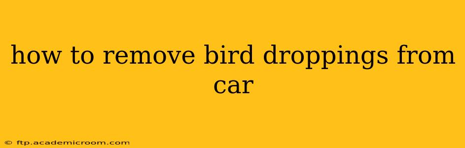 how to remove bird droppings from car