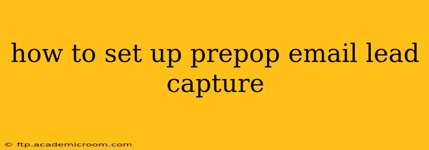 how to set up prepop email lead capture