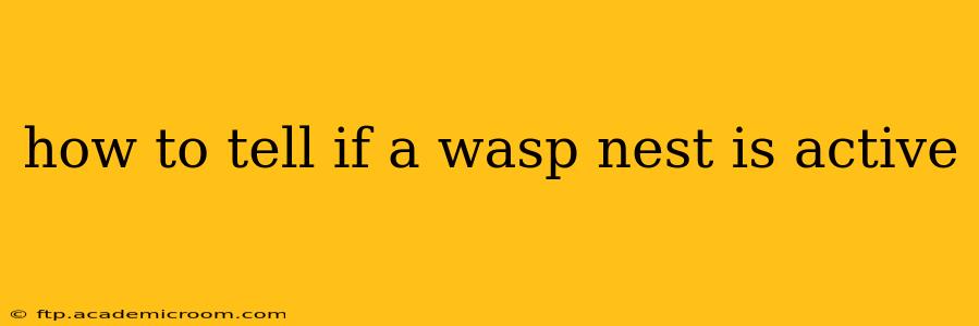 how to tell if a wasp nest is active