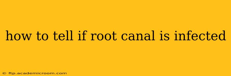 how to tell if root canal is infected