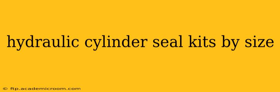 hydraulic cylinder seal kits by size