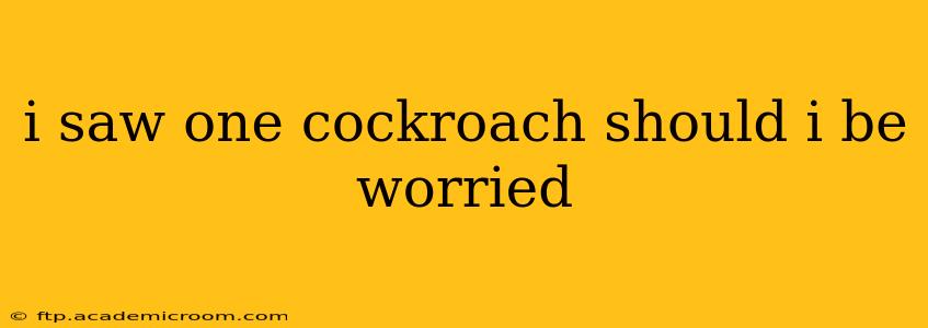 i saw one cockroach should i be worried