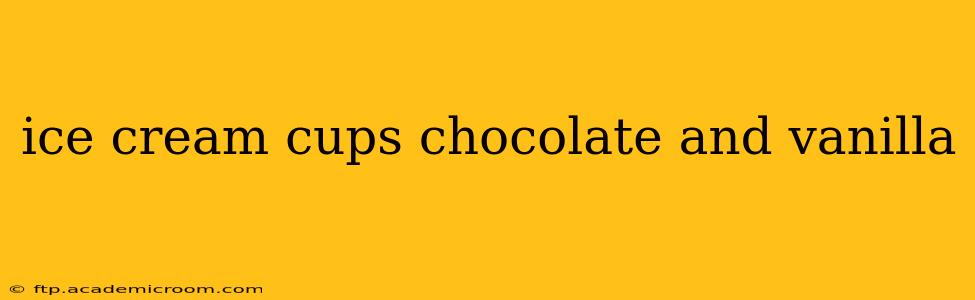ice cream cups chocolate and vanilla