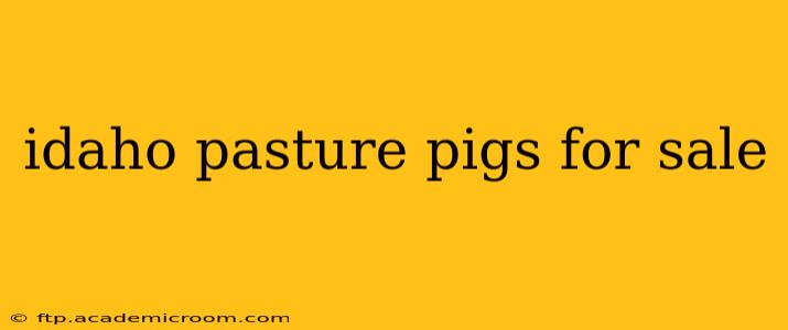 idaho pasture pigs for sale