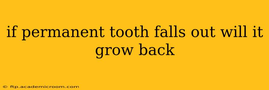 if permanent tooth falls out will it grow back