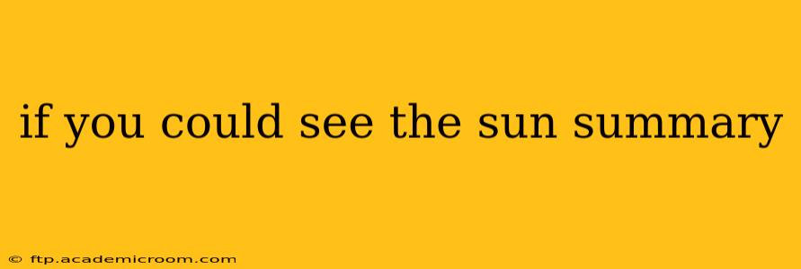 if you could see the sun summary