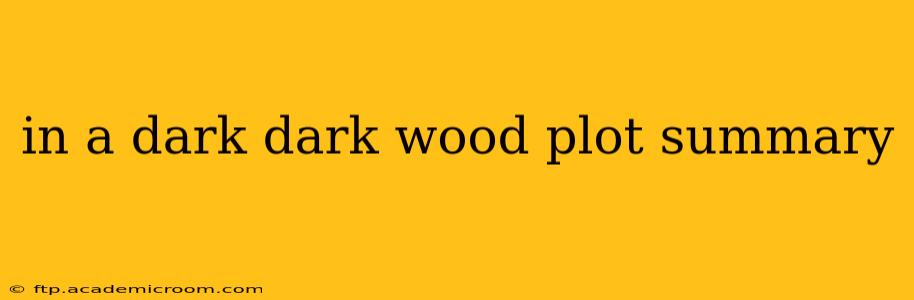 in a dark dark wood plot summary