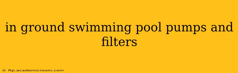 in ground swimming pool pumps and filters