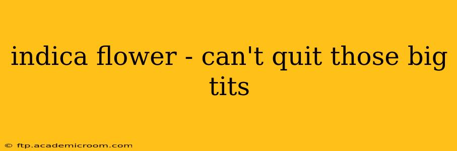 indica flower - can't quit those big tits