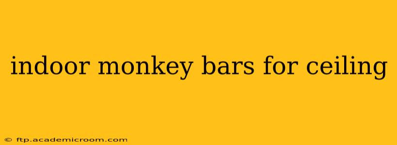 indoor monkey bars for ceiling