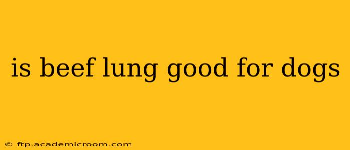 is beef lung good for dogs