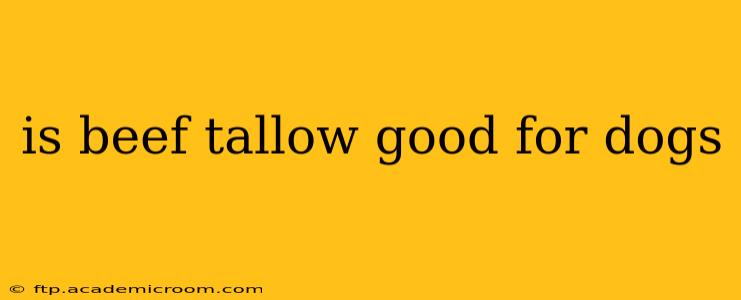 is beef tallow good for dogs