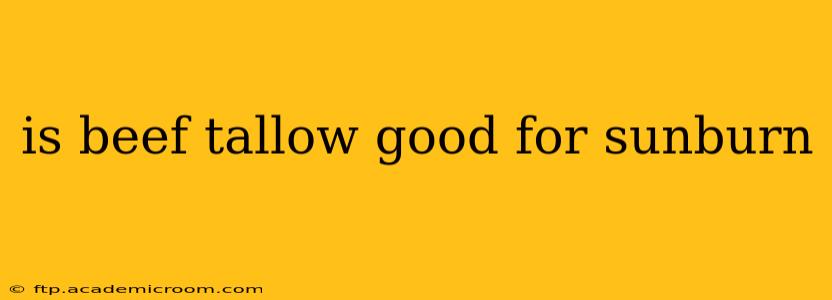 is beef tallow good for sunburn