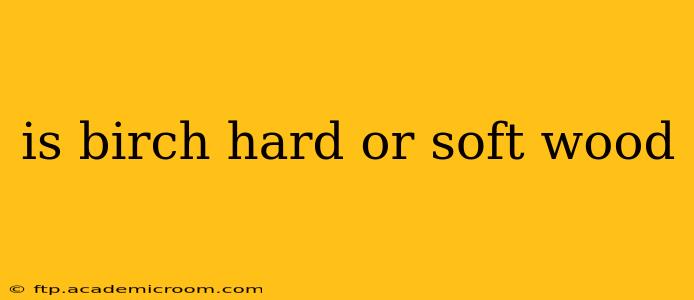 is birch hard or soft wood