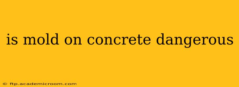 is mold on concrete dangerous