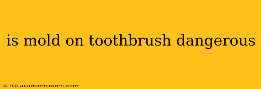 is mold on toothbrush dangerous
