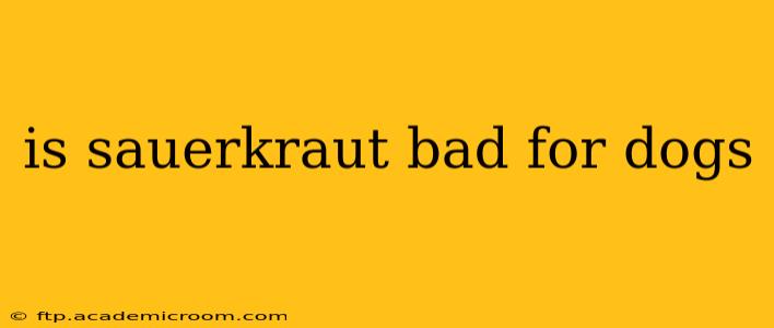 is sauerkraut bad for dogs