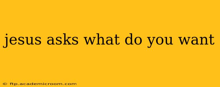 jesus asks what do you want