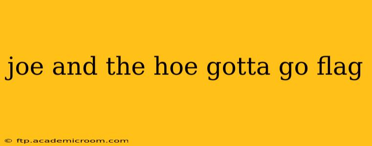 joe and the hoe gotta go flag