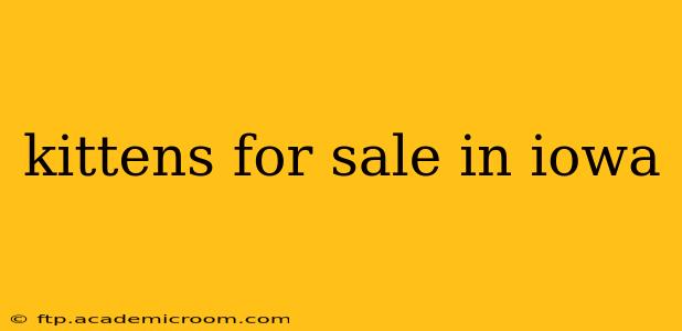 kittens for sale in iowa