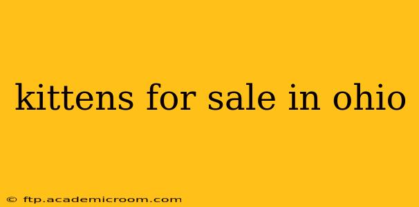 kittens for sale in ohio