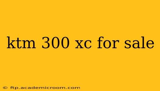 ktm 300 xc for sale