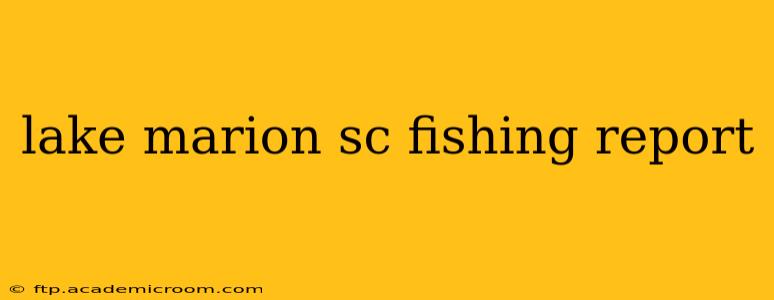 lake marion sc fishing report