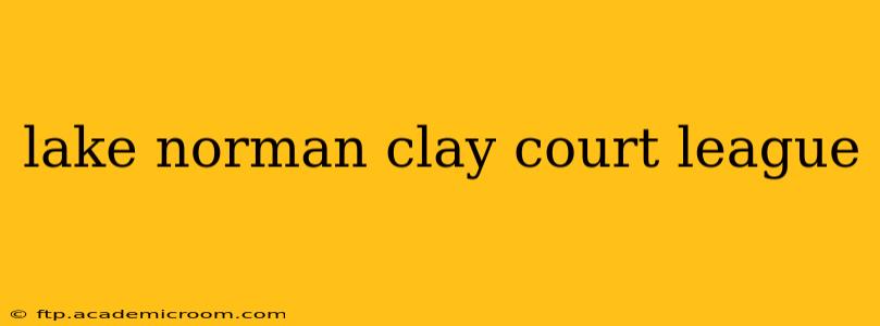 lake norman clay court league