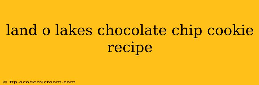 land o lakes chocolate chip cookie recipe