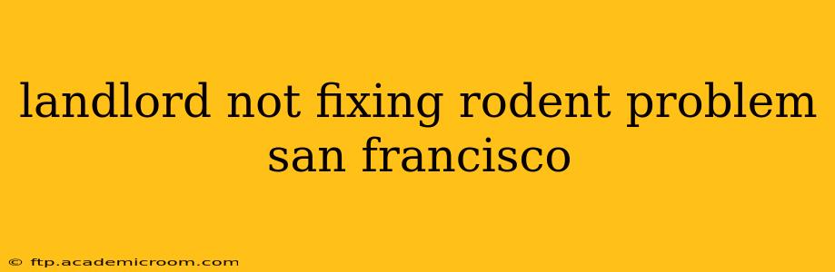 landlord not fixing rodent problem san francisco