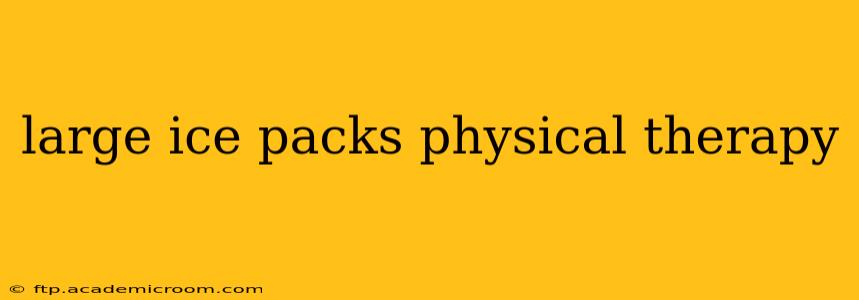 large ice packs physical therapy