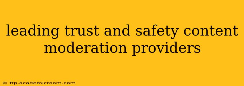 leading trust and safety content moderation providers