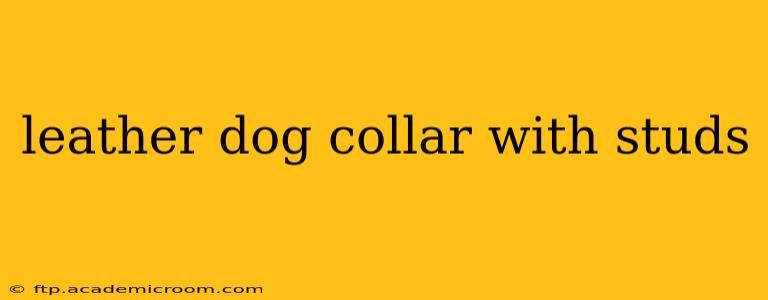 leather dog collar with studs