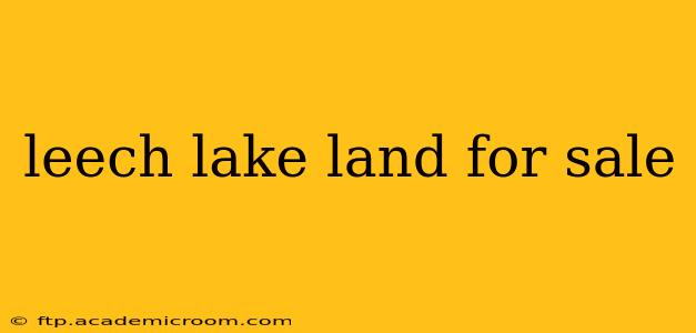 leech lake land for sale