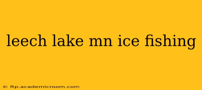 leech lake mn ice fishing