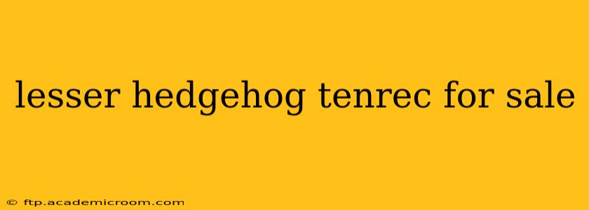lesser hedgehog tenrec for sale