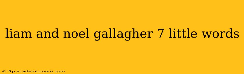 liam and noel gallagher 7 little words