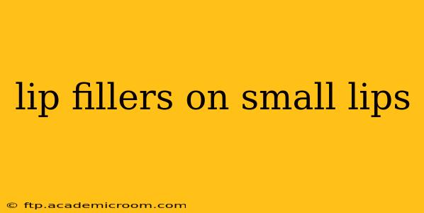lip fillers on small lips