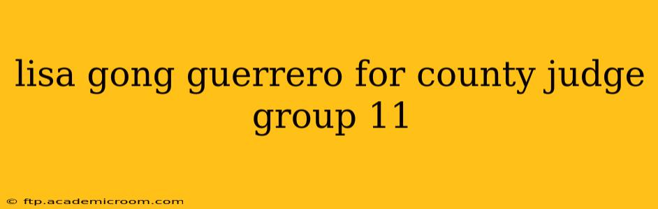 lisa gong guerrero for county judge group 11